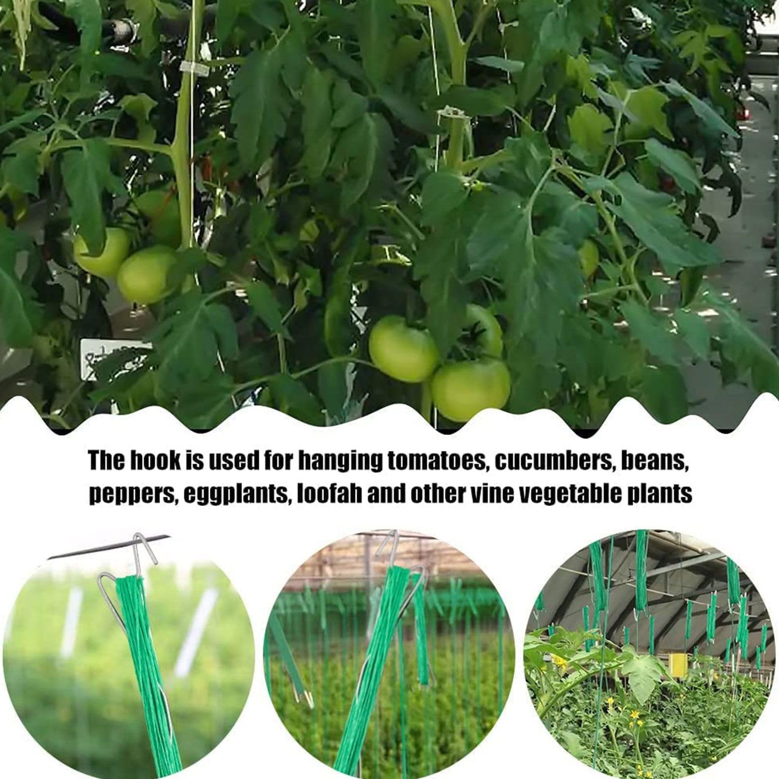 Ganci per Pomodori Con Cordino E Clip Di Supporto Rinforzate | 40 Pezzi Ganci Per Piante Rampicanti Per Traliccio Per Cetrioli, Frutta, Colture, Interno Ed Esterno, Giardino, Fattoria,