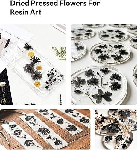 Vista 68 de Resiners - Flores secas, 100 piezas de flores prensadas para manualidades, color amarillo, flores secas naturales, kit de hojas secas
