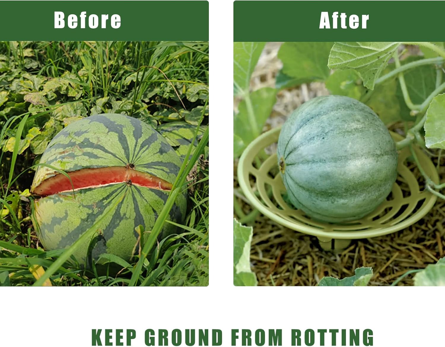Buy Laozai 8 Packs Melon Cradle,Strawberry Supports, Plant and Garden