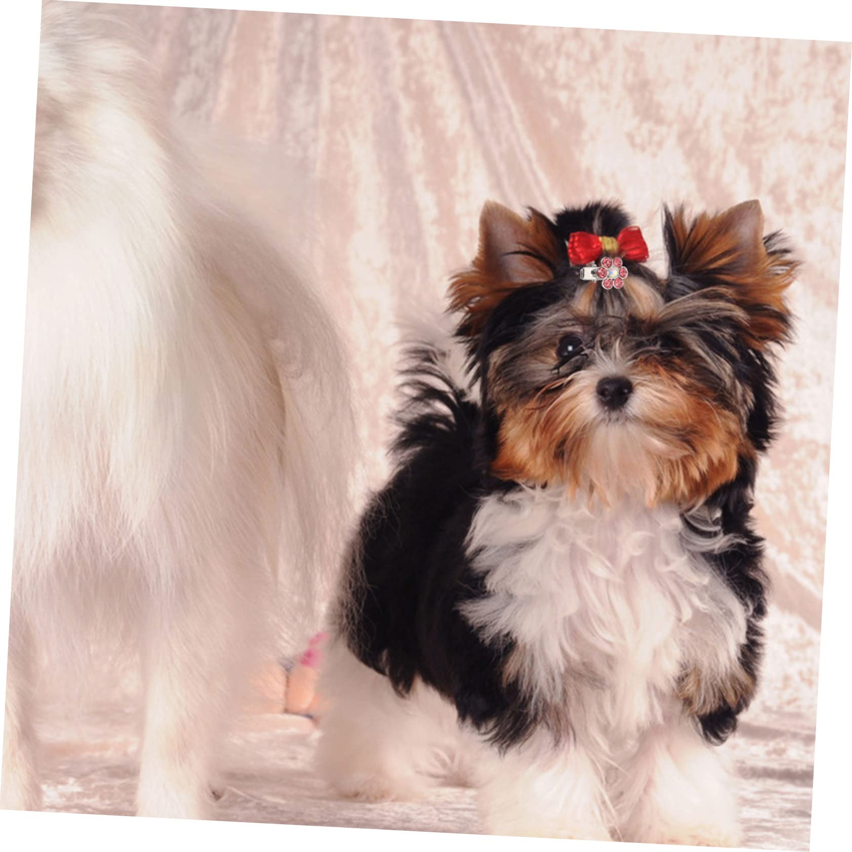 BESPORTBLE 6pezzi Fermagli Decorativi per Cani Accessori Eleganti con Testa di Cane Cristallo per Mantenere Ordine Pelo del Tuo Animale Domestico Disponibili