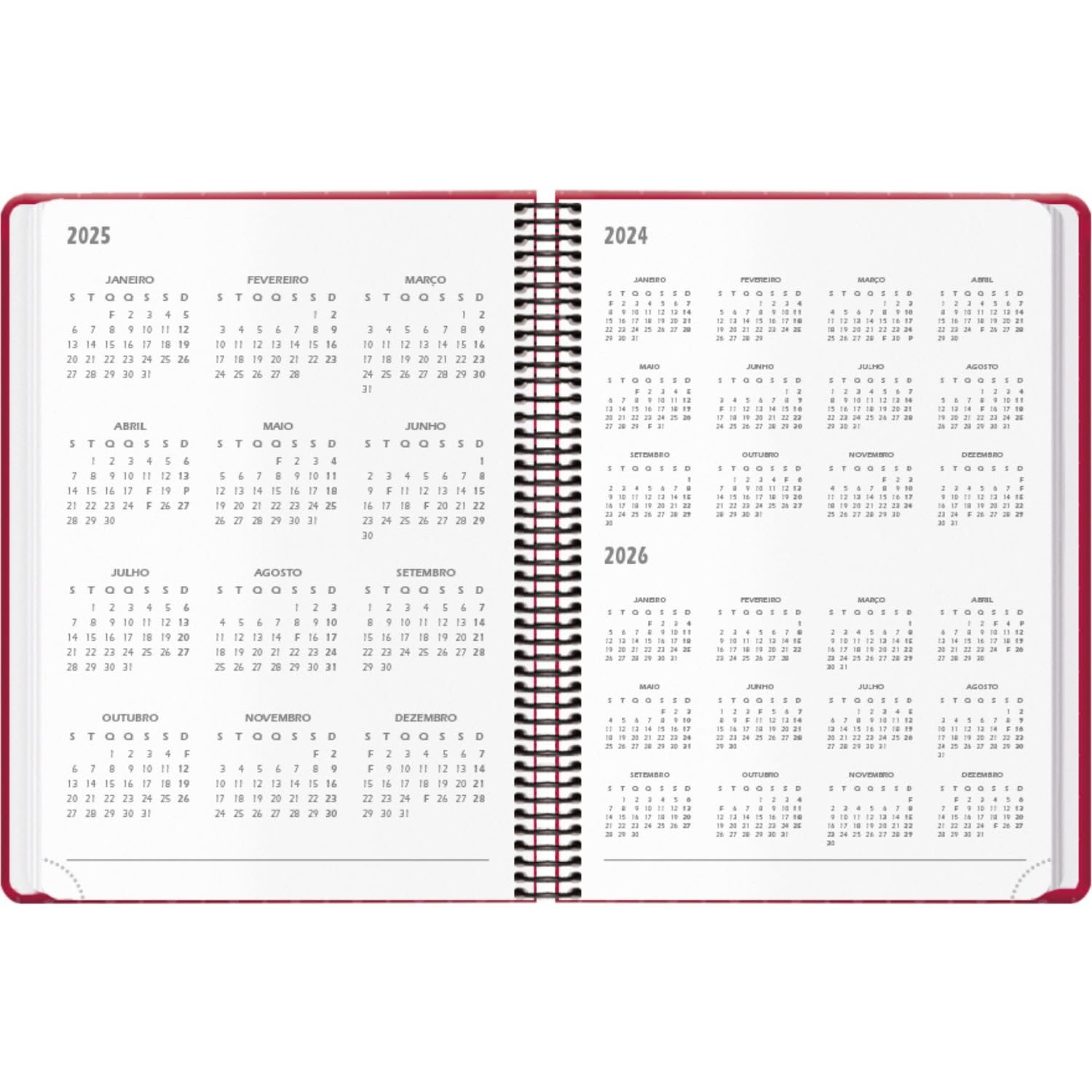 Dohe, 2025 Diary in Portuguese, Day per Page, A5 Size (14x20 cm), 12 Months January to December, Ring Binding, Annual Planner - Image 3
