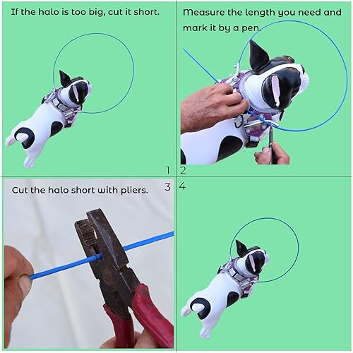 Miniatura 6 de Inmkri Accesorios de arnés tipo halo para perros ciegos parachoques - Halo para perros ciegos suministros para perros ciegos parachoques para