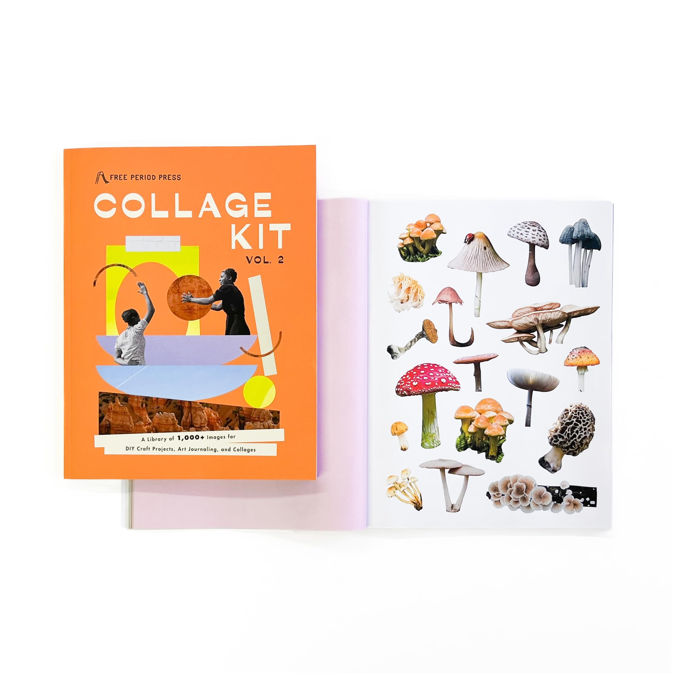 Amazon.com: Collage Kit Vol. 2: 1000+ Images for Junk Journaling 