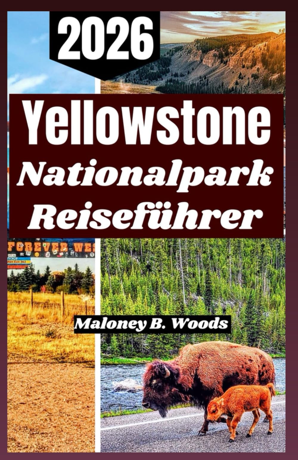 Yellowstone Nationalpark Reiseführer 2026: Praktischer Leitfaden für Tierbeobachtungen, malerische Wanderwege, verborgene Schätze und Saisonplanung