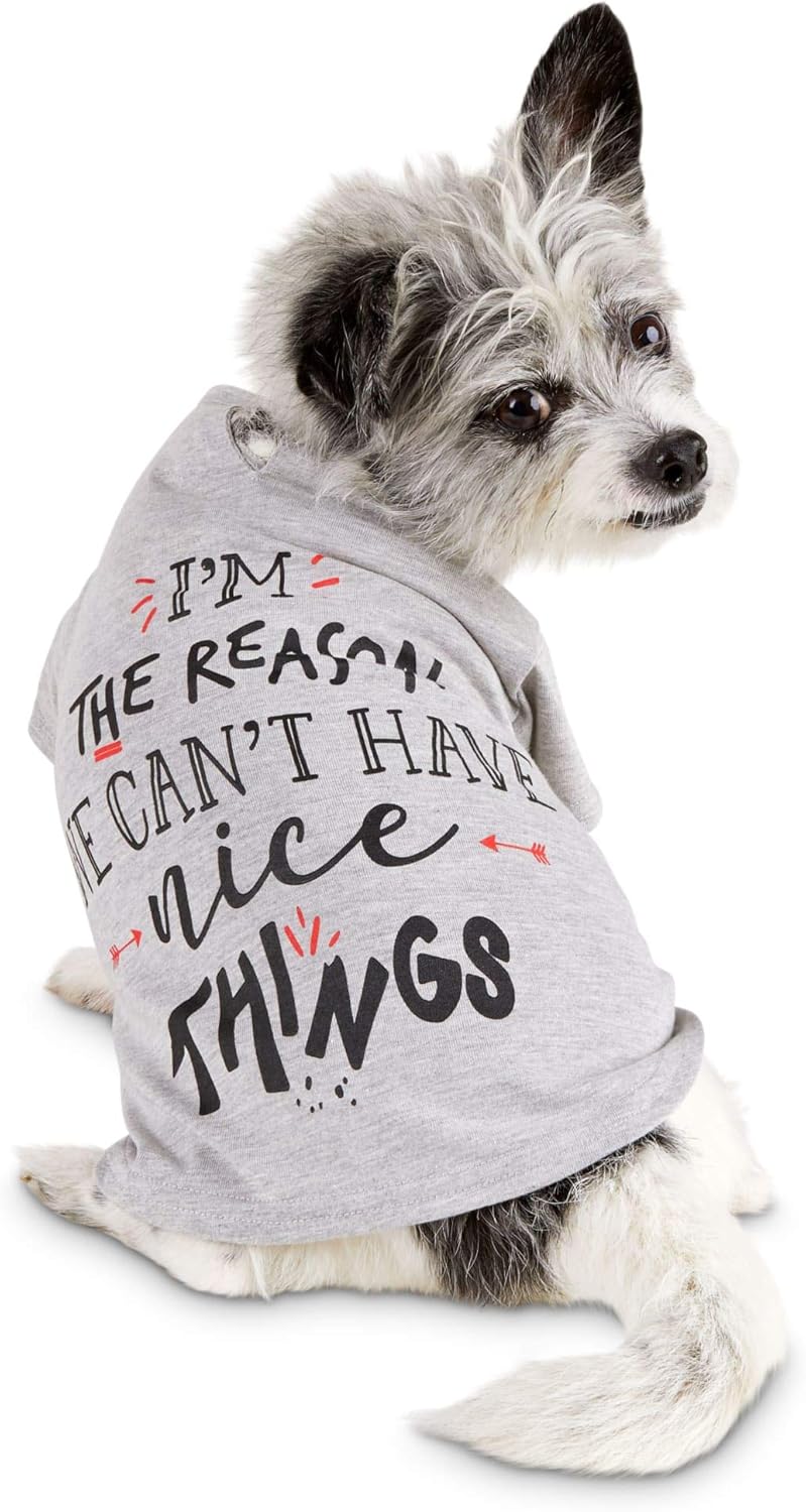 small dog window perch