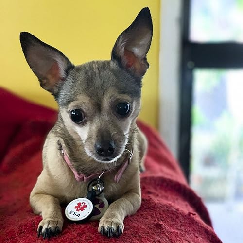 Miniatura 7 de Animal de apoyo emocional grabado silencioso (ESA) personalizado con 4 líneas de identificación grabada personalizada, placa silenciosa de silicona