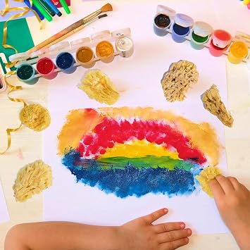 12Pack Natural Sea Sponges for Painting100% Natural & Kid-Friendly|Acrylic Watercolor, Marbling, Texturing, Pottery, Ceramics
