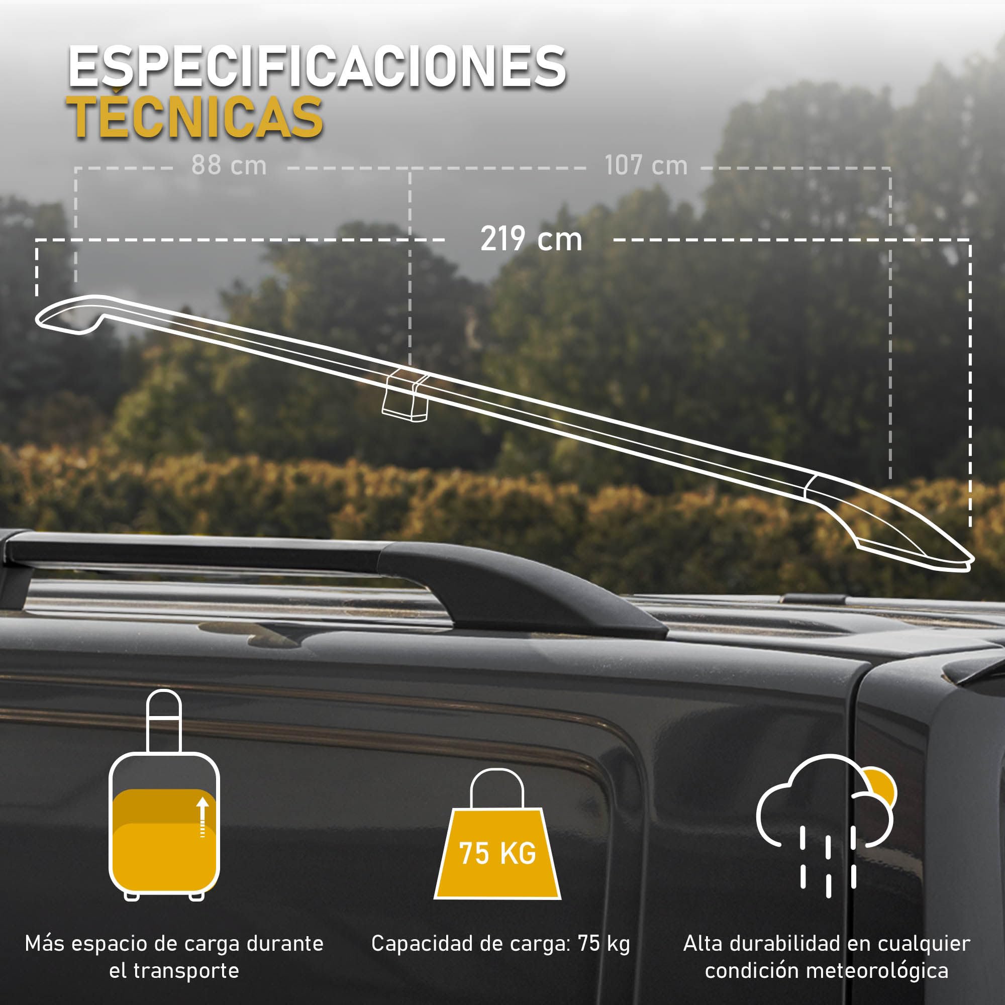 CHROMEMASTER | Barras Portaequipajes, Rieles de Techo Compatible con Ford Tourneo Custom L1 Corto 2023+; Se Utilizan para el Montaje de Portaequipajes de Techo, Cajas de Techo o Portabicicletas