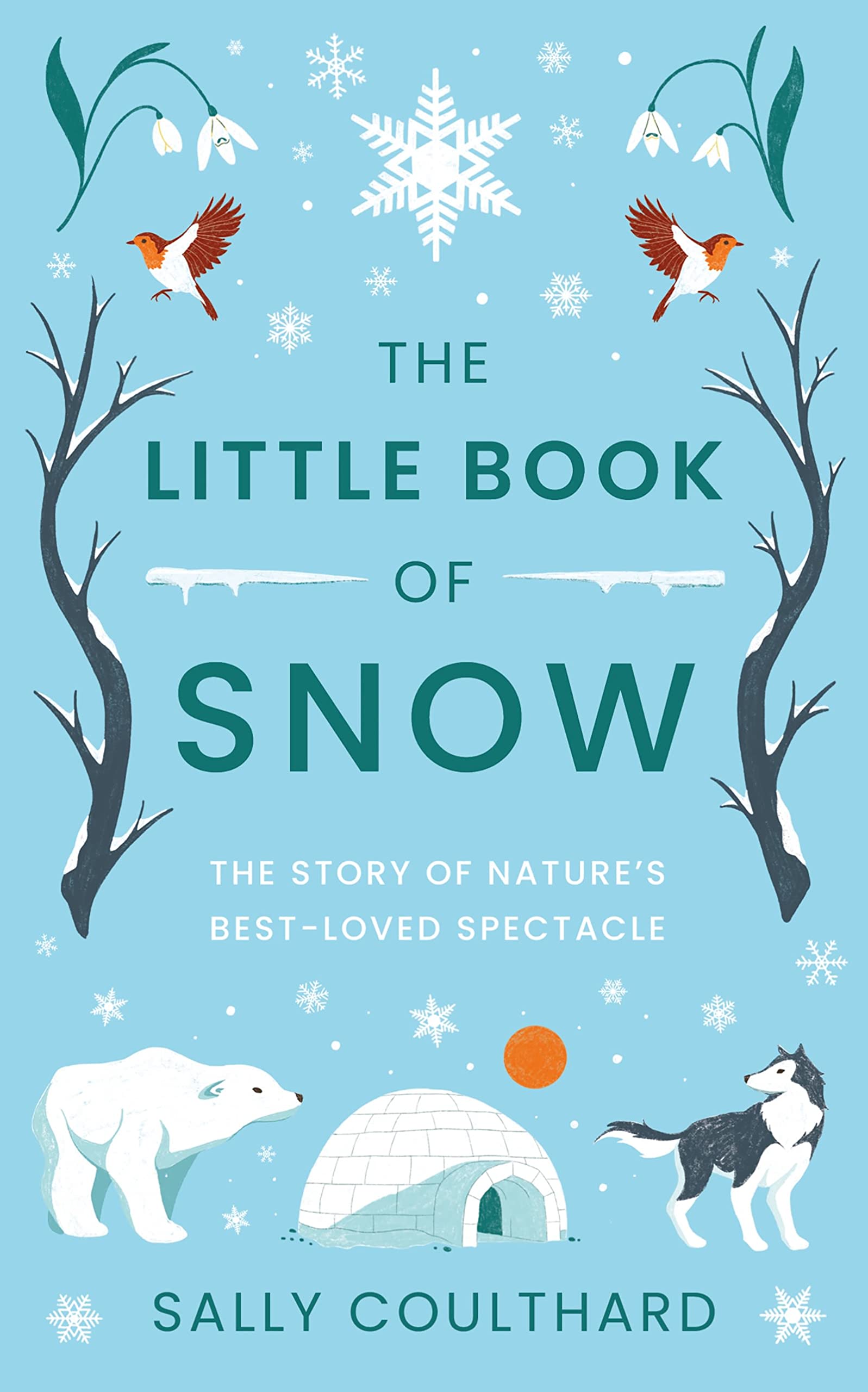 Little Book Of Snow