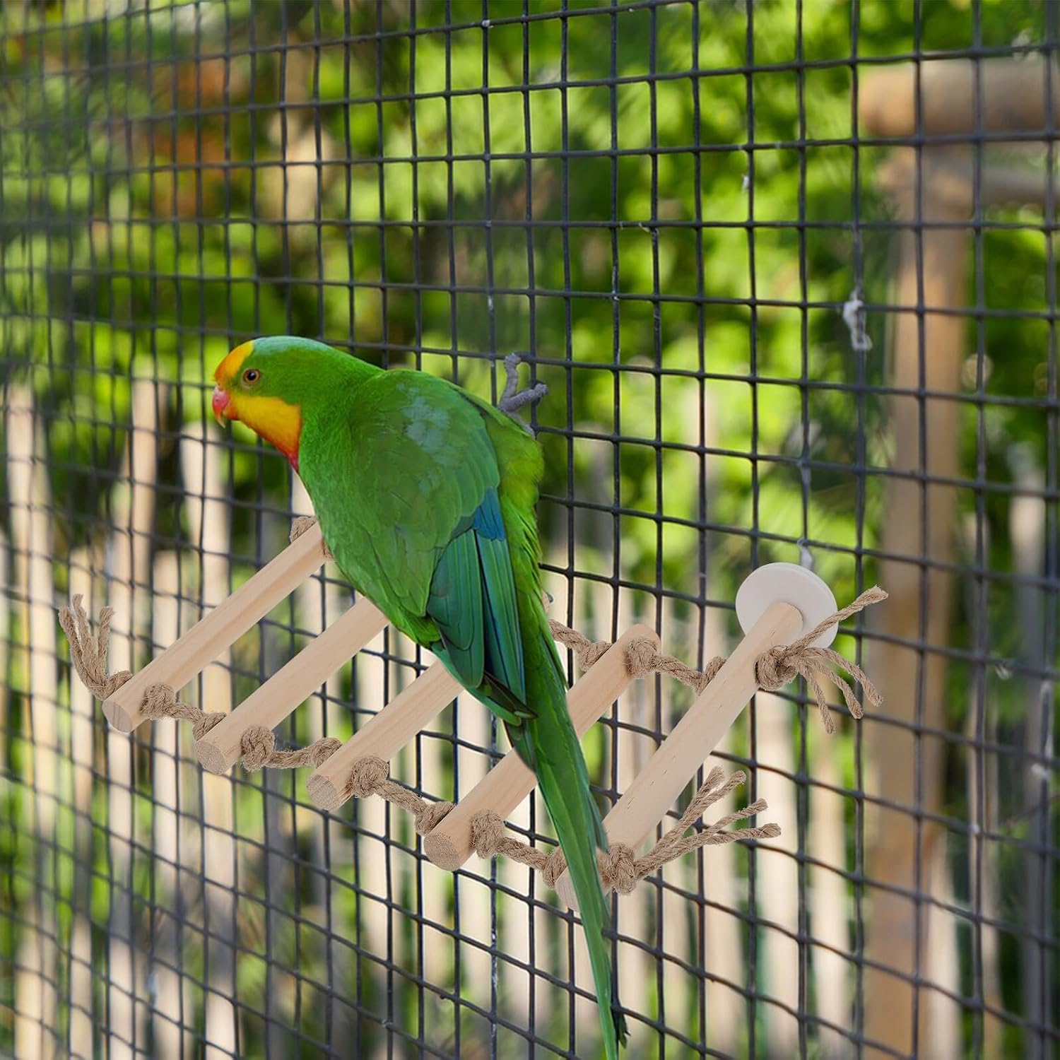 HEMOTON Wooden Parrot Climbing Ladder Bird Step Ladder with Hanging Hooks for Parakeet Training and Birdcage Accessories