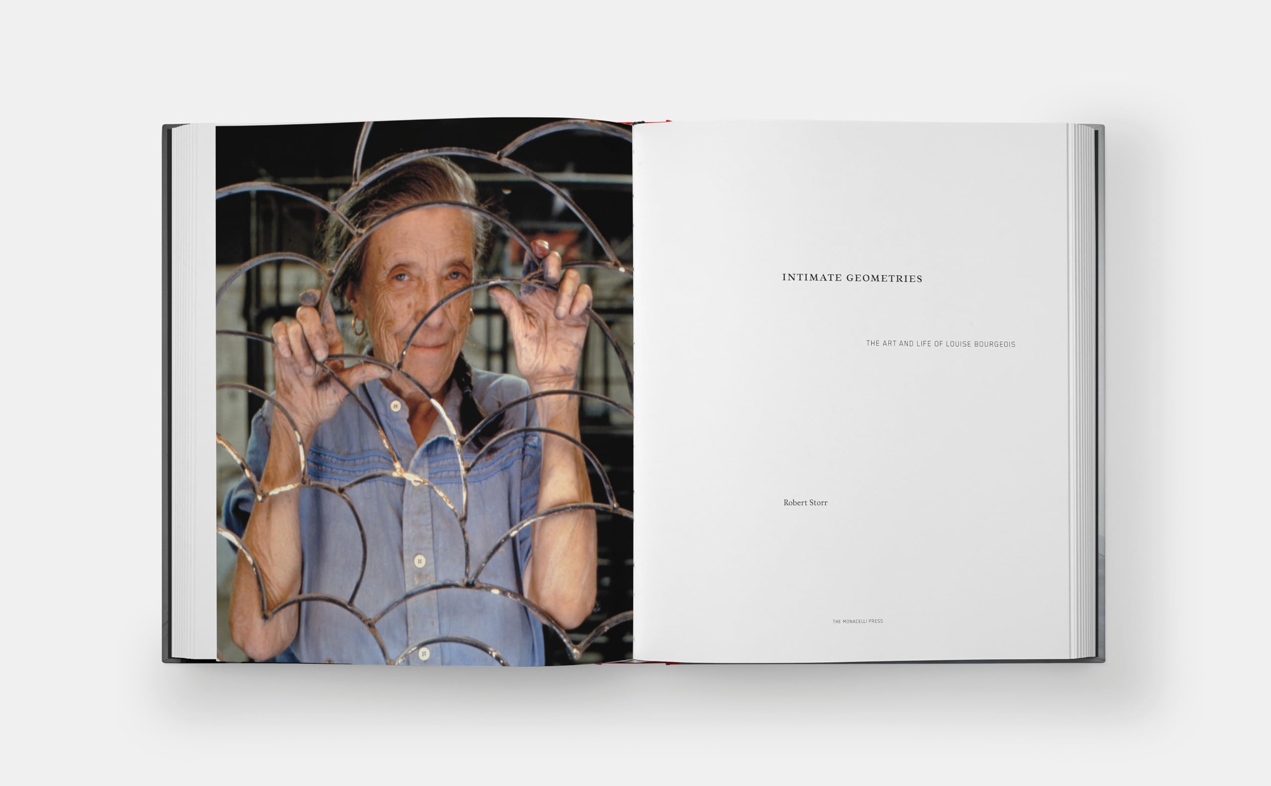Intimate Geometries: The Art and Life of Louise Bourgeois