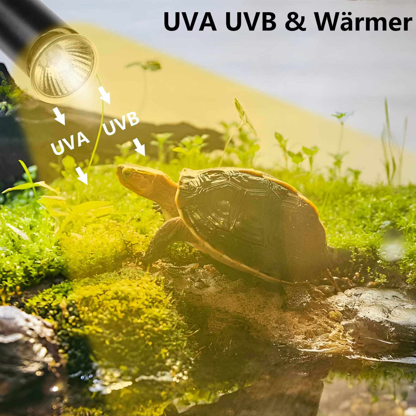 Lampada riscaldante per tartarughe Terrario, lampada UVA UVB per rettili Terrario 25W+50W, lampada riscaldante E27 Basking Spot per tartarughe, serpenti, lucertole