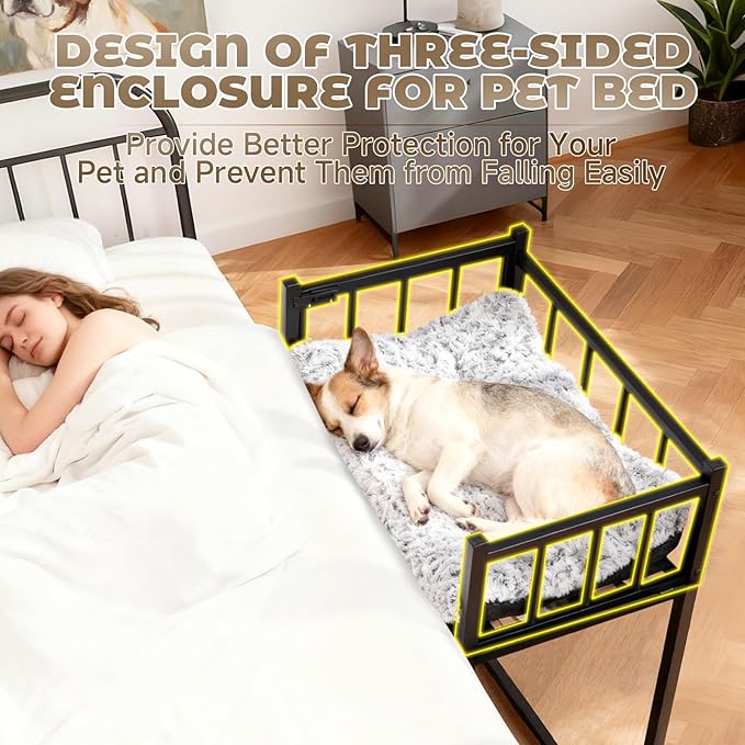 Cama Elevada para Perro con Protección Lateral - Mediano 65x45 cm miniatura 3