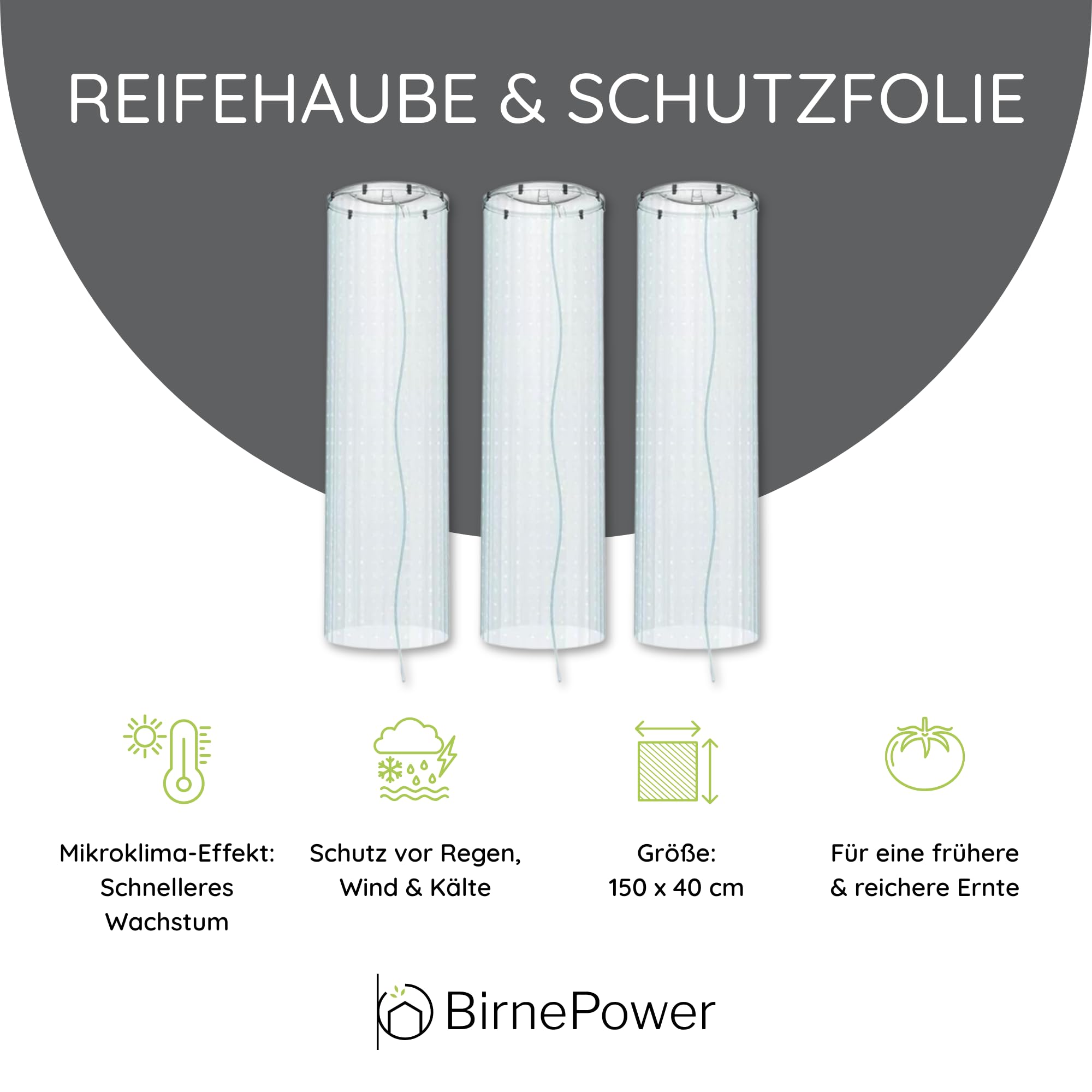 BirnePower 3X Schutzfolie Reifehaube Tomatenschutzfolie Transparent 150 x 40 cm