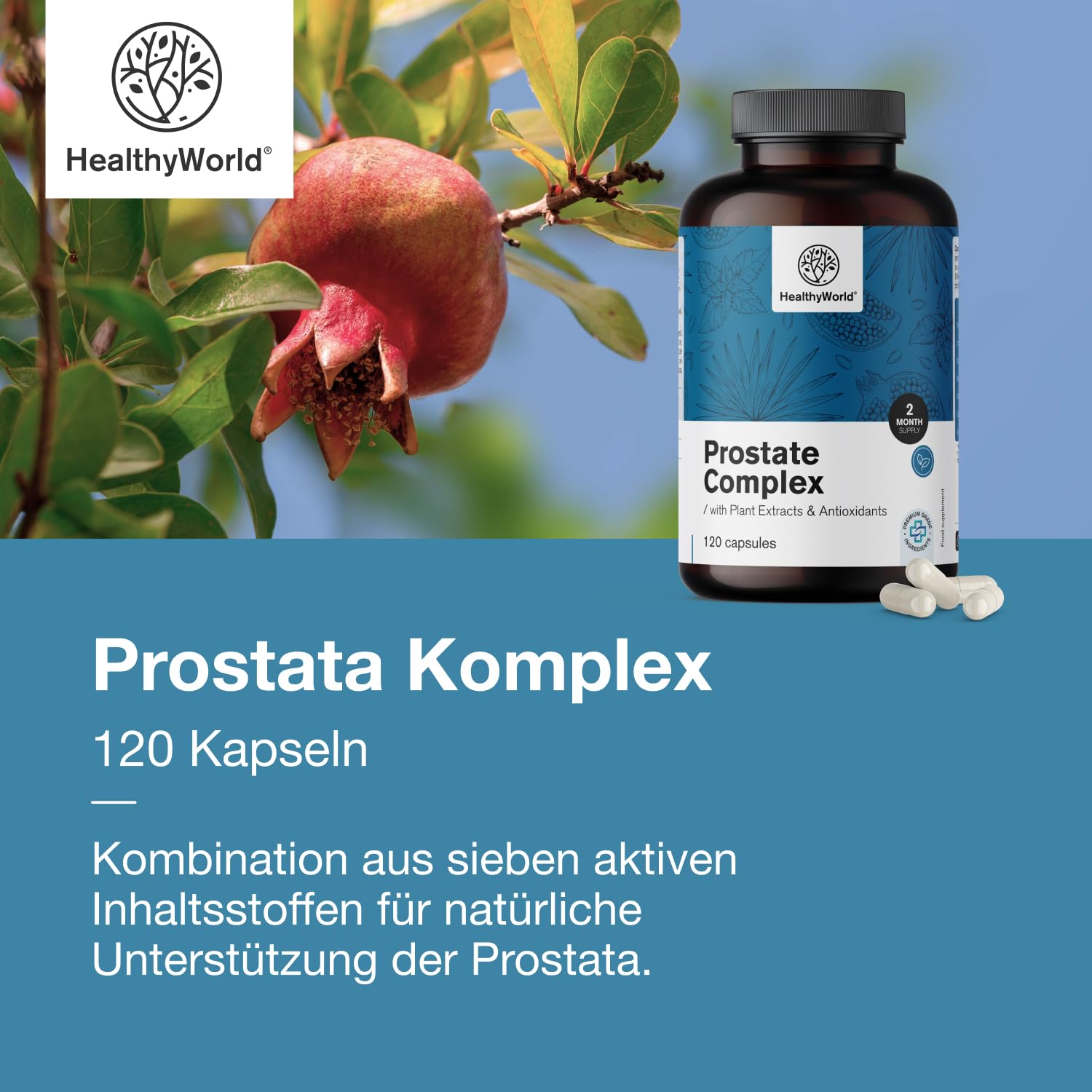 HealthyWorld® Prostata Komplex - Für Männer - 120 pflanzliche Kapseln - Mit Kürbiskernen, Granatapfel, Brennnessel, Sägepalme, Vitamin E, Zink und Selen - Unterstützung der Prostata