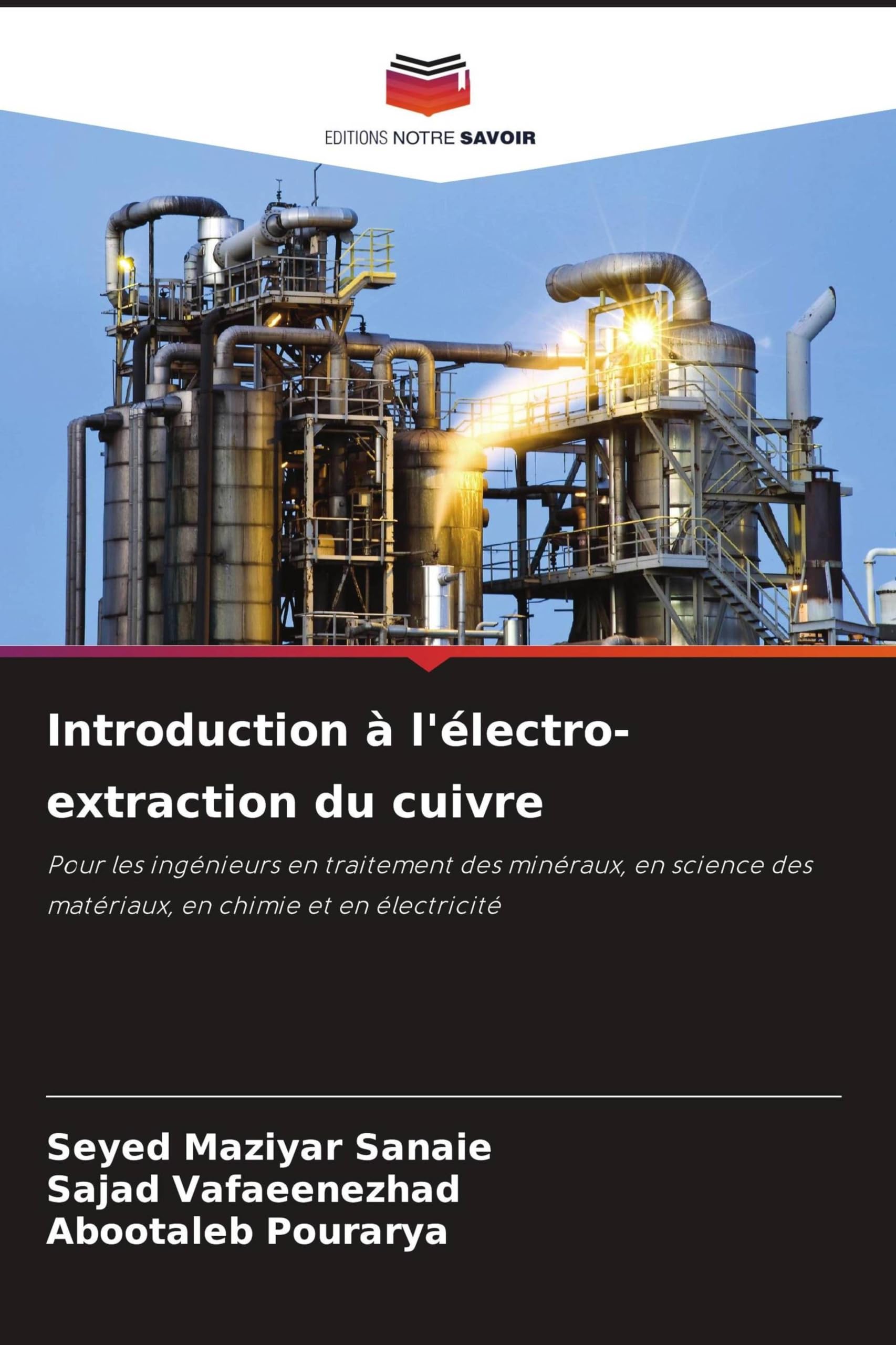 Introduction à l'électro-extraction du cuivre: Pour les ingénieurs en traitement des minéraux, en science des matériaux, en chimie et en électricité