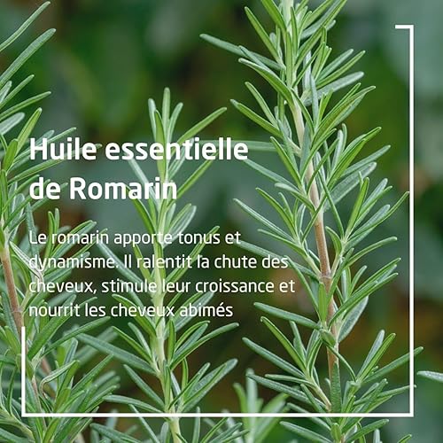 Miniatura 4 de Weleda Weleda Romero revitalizante tónico para el cabello 3.4fl oz