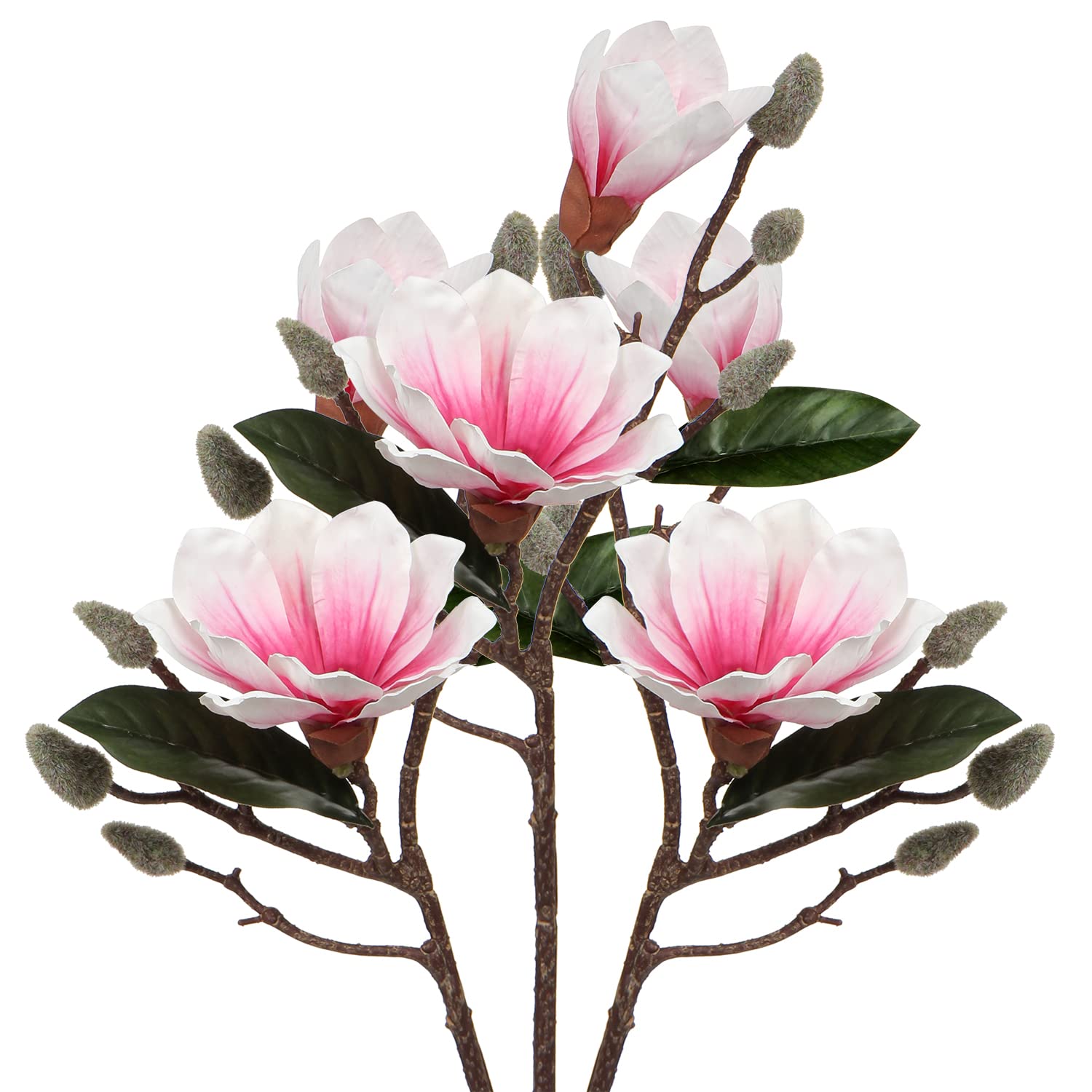 Pink Magnolia Flower Branch