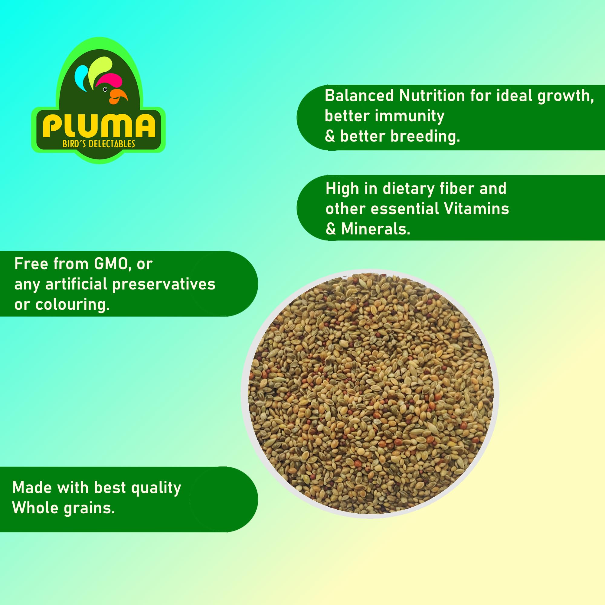 PLUMA BIRD'S DELECTABLES Food For Finches, Love Birds, Canaries, Sparrows-750G|Premium Seed & Millet Mix|Daily Food For Small Birds|All Life Stages 1