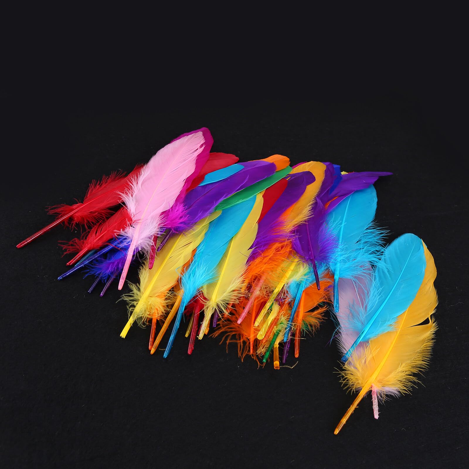 Lot De 50 Plumes De Coq Longues Pour Décoration De Chapellerie, Loisirs Créatifs, Couleur Cassis