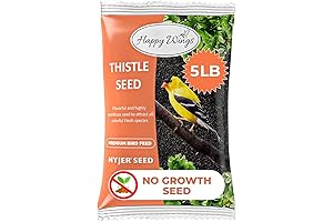 Bulk Nyjer/Thistle Seeds for Birds (10 Pound Bag) - No Grow Seed...
