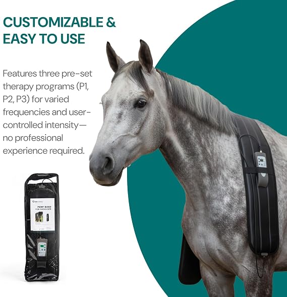 OMI Horses: Full PEMF Package