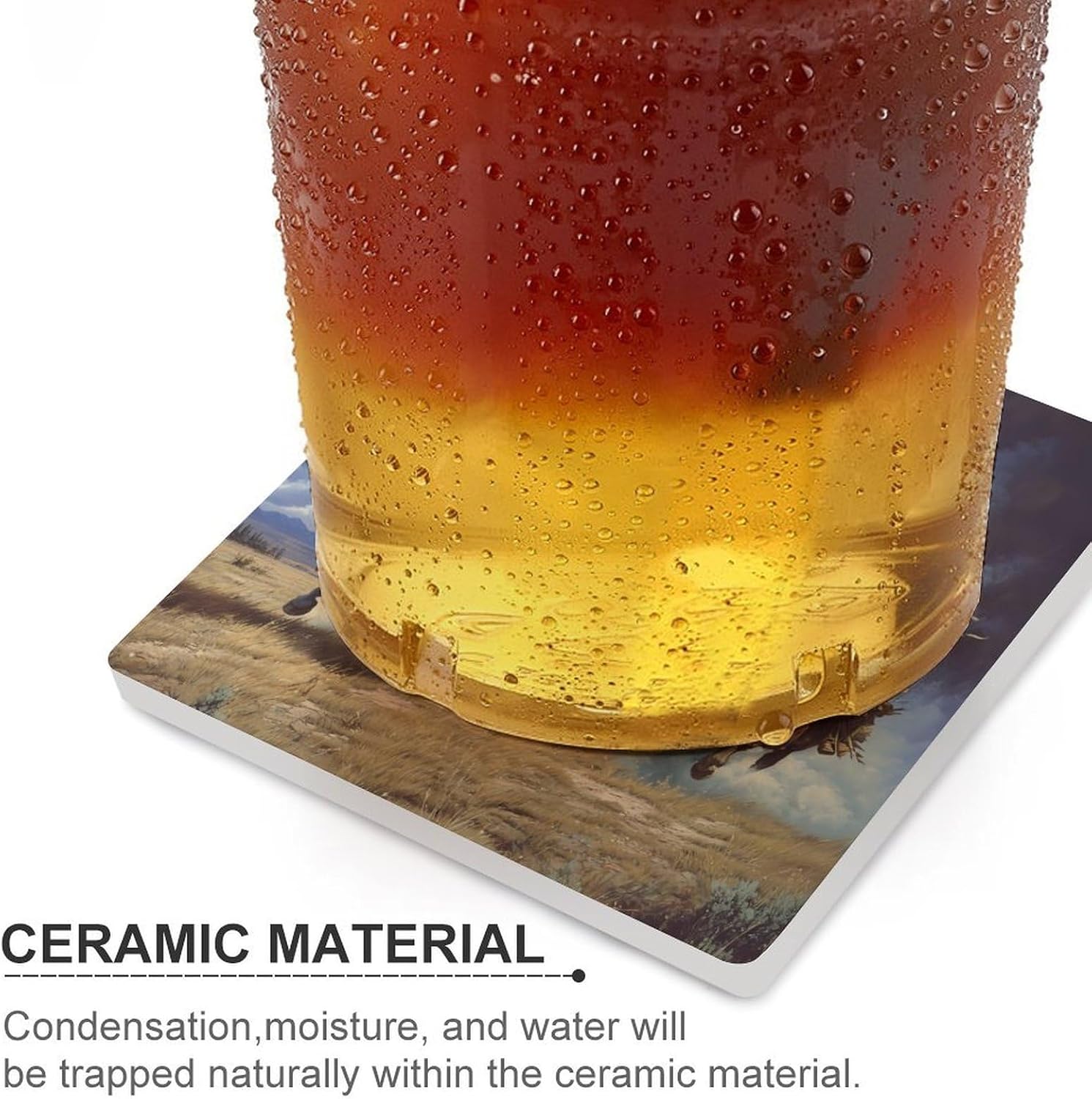 U.S. Indian and Buffalo Funny Ceramic Coasters for Drink Absorbent Cup Holders Tabletop Protection