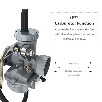 Amazon.com: 1PZ P02-Z01 PZ20 Carburetor with Fuel Filter