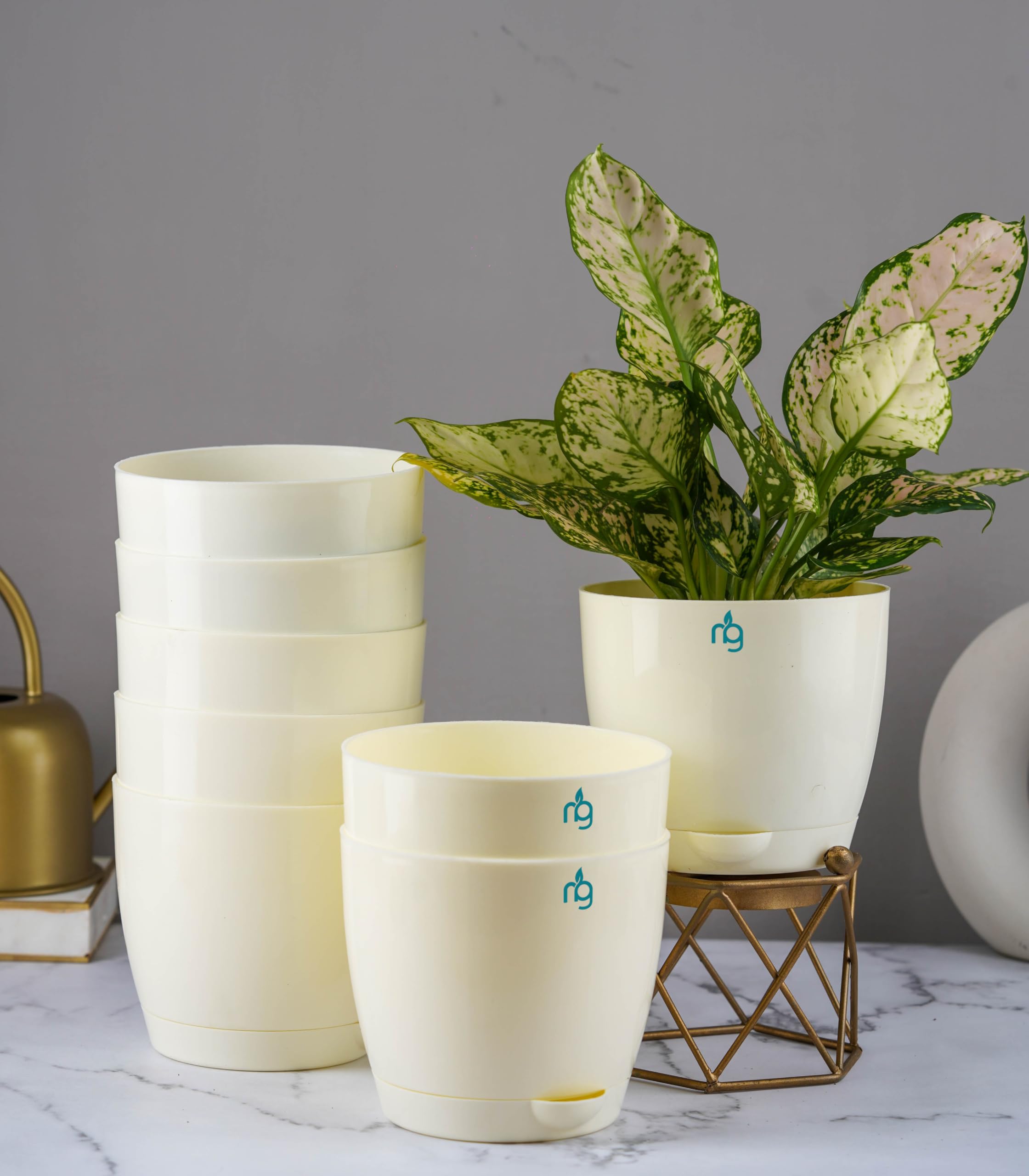 Nurturing Green® Combo of 8 Ivory Self Watering Plastic Pots for Plants | Plant Pots for Garden Décor (5.5 Inch Wide*5 Inch High) - [Plant & Stand are not Included] (B0BGXFQKK5) Amazon Price History, Amazon Price Tracker