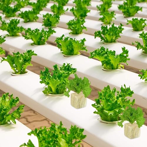 Miniatura 6 de Halatool Cubos de cultivo de lana de roca de jardín de 1 pulgada para cultivo sin tierra, plantas clonadas hidropónicas, inicio de germinación (4