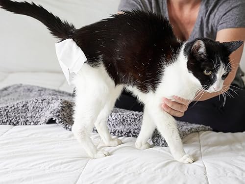 Miniatura 36 de Pet Parents® Pet WiPees™ - Toallitas multiusos para perros + piel y pelaje para mascotas, toallitas para perros, toallitas para perros y cachorros