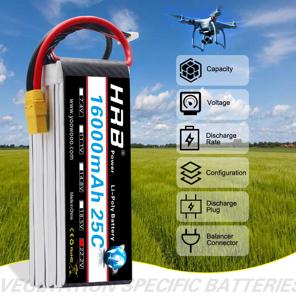 HRB 16000mAh 25C Li-Poバッテリー Amazon | HRB Lipoバッテリーパック16000mAh 22.2V 25C 6s with