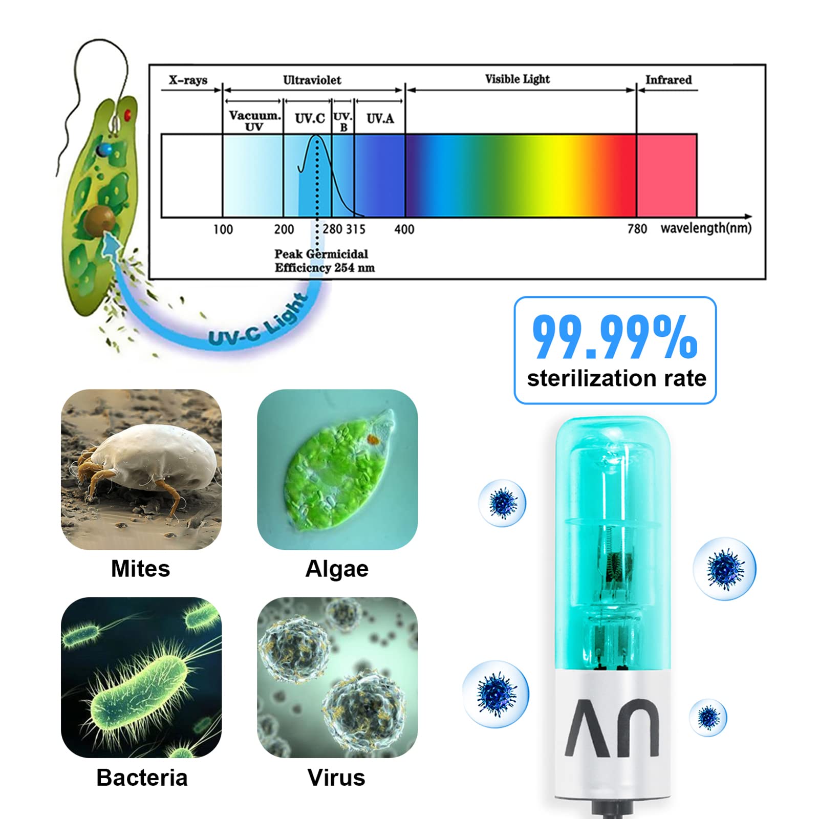 Lámpara de acuario 3W Mini pecera Luz verde limpia con temporizador de uso sumergible en área de filtro para estanque de peces de 5 a 55 galones agua nublada limpia y transparente (3W)