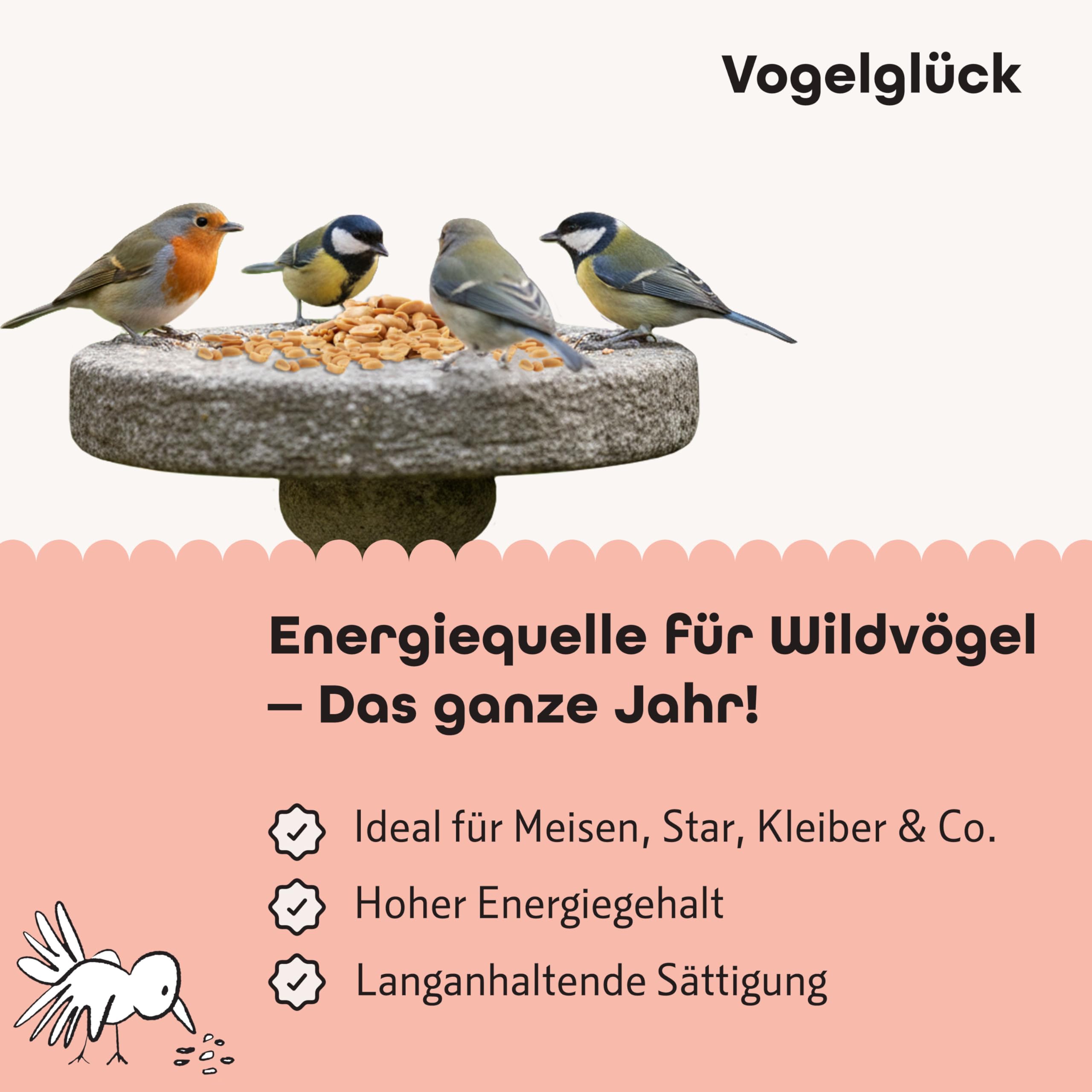 Vogelglück Erdnusskerne Vogelfutter 20 kg geschält – energiereich, schalenfrei, gereinigt und Sortiert – Erdnüsse für Nussspender, Silo, Futtertisch und Bodenfütterung, geeignet für Wildvögel