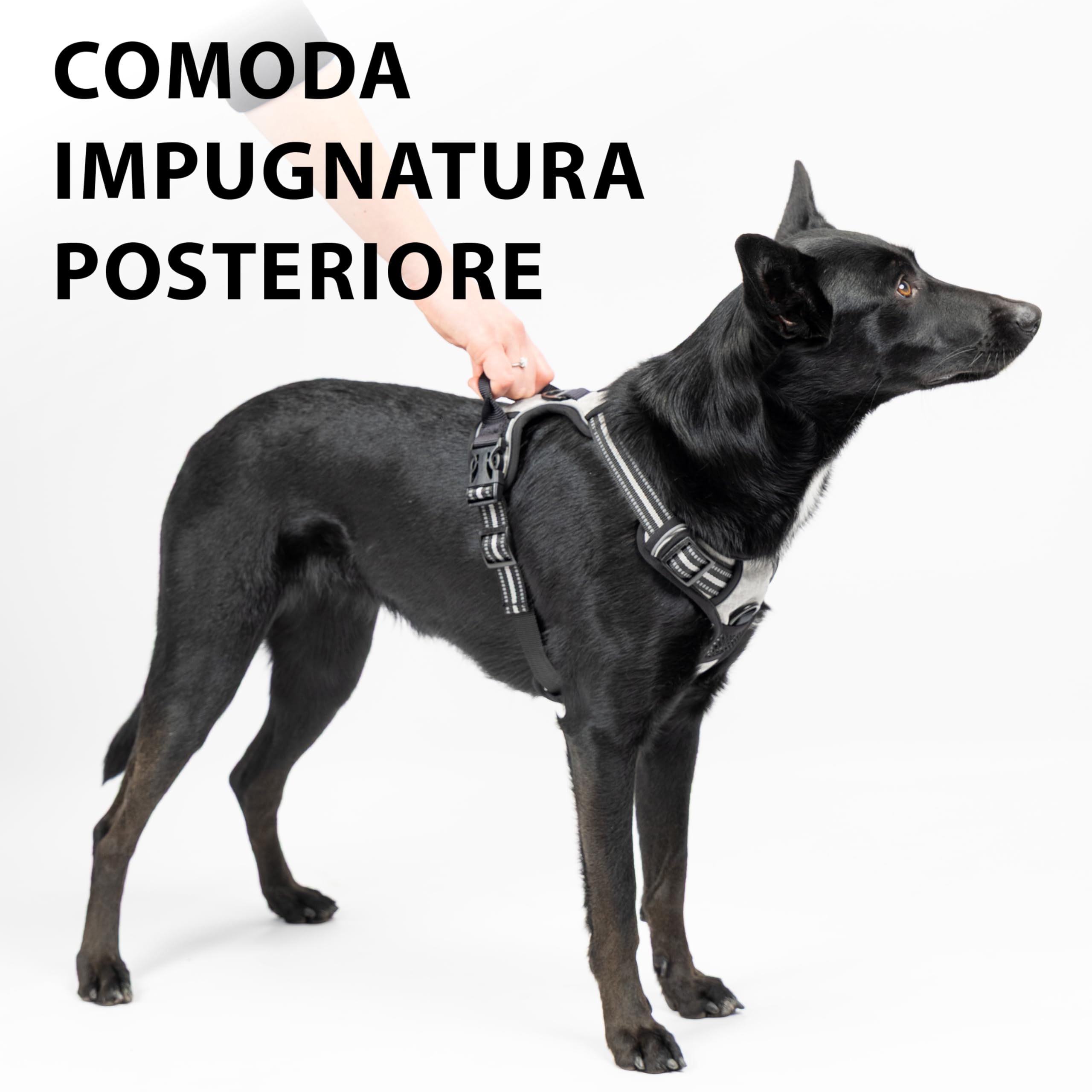Ferplast Pettorina Cane Taglia Media, 2 Ganci per Massimo Controllo, Anti Tiro, Pettorina Cane Regolabile, Riflettente, Traspirante, Imbracatura Cani ideale per Addestramento M, Viola