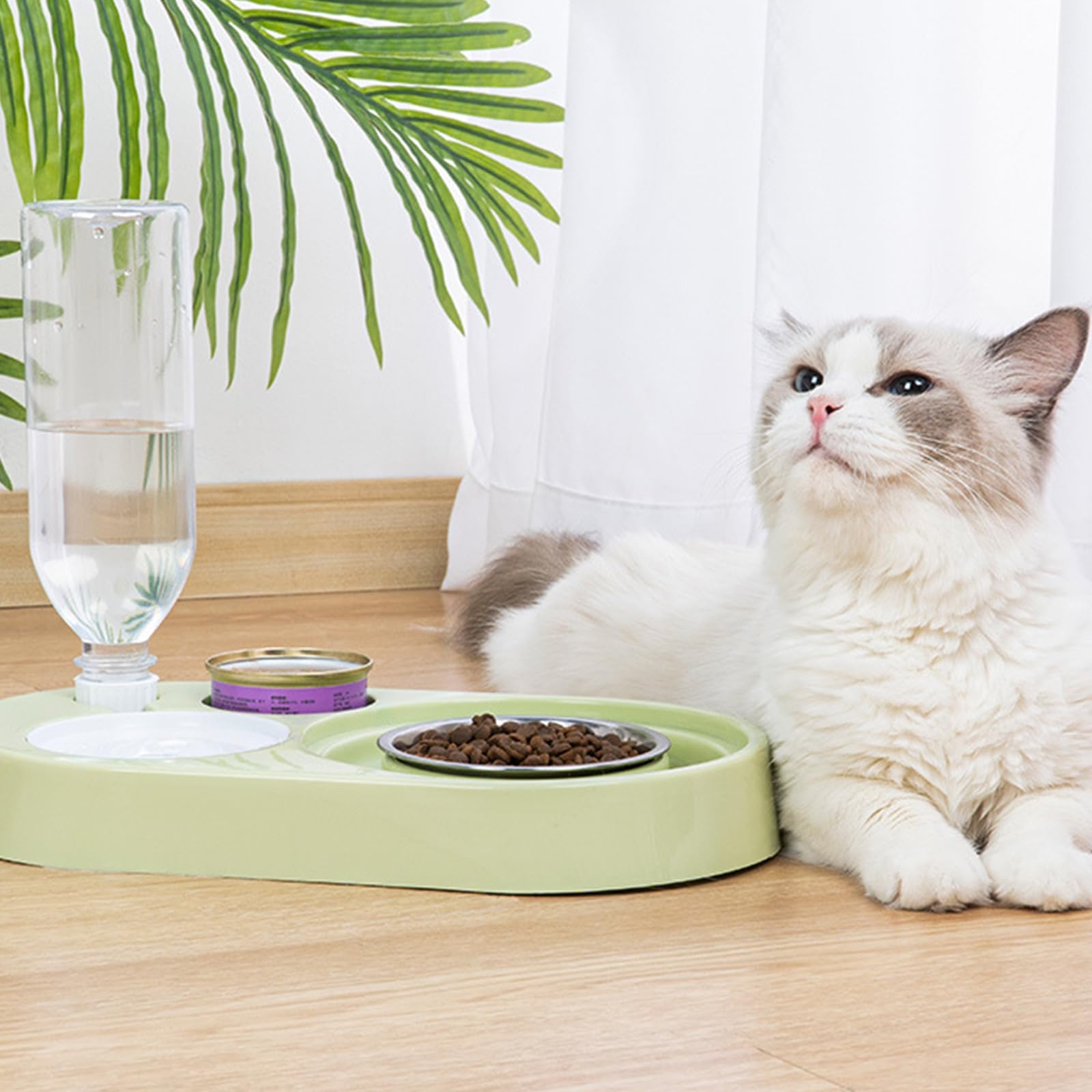 XISAOK 2 in 1 Dog Feeder Raised Cat Food Water Bowl Food Waterer Large Capacity