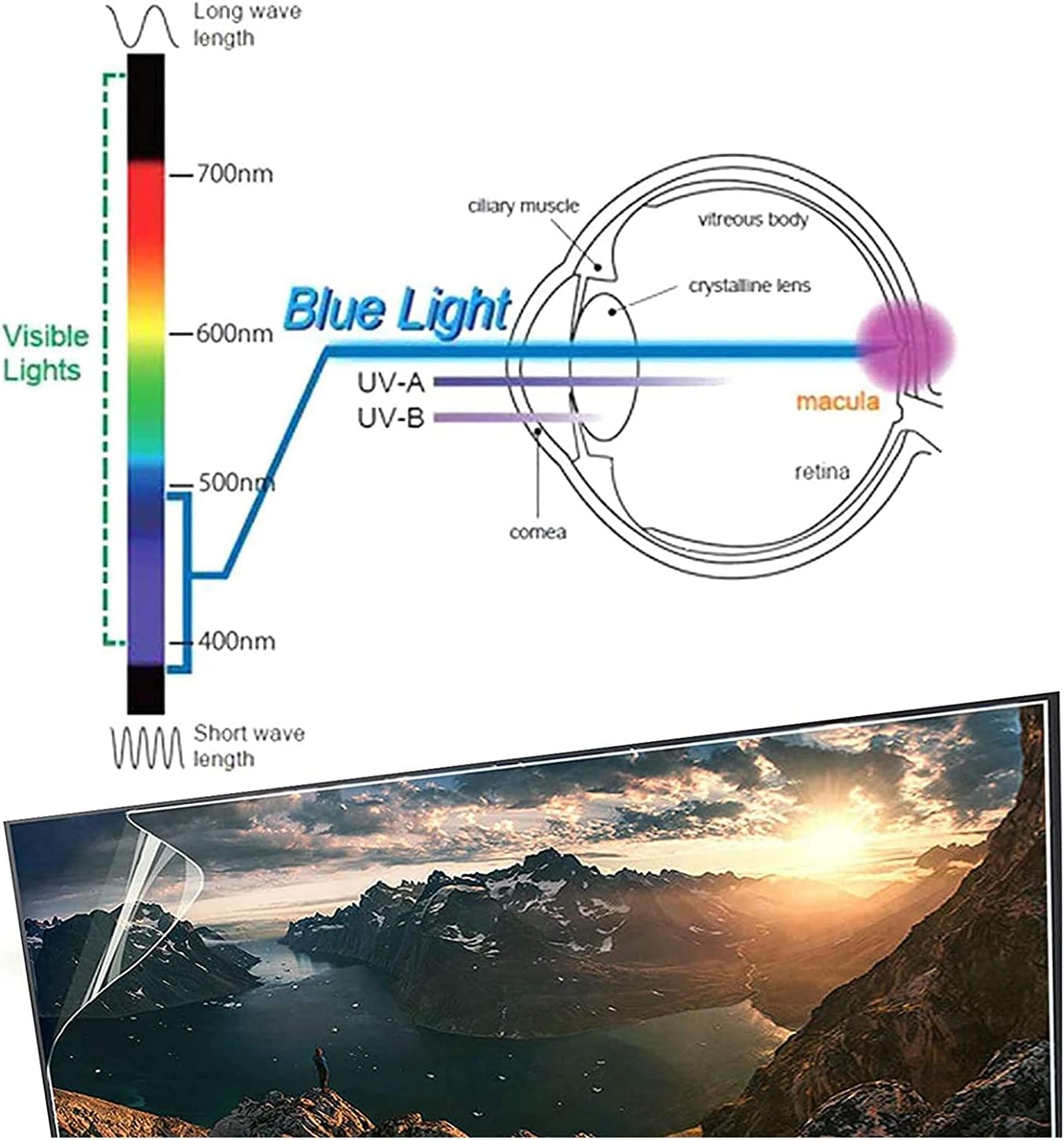 Extremely Clear TV Screen Protector Anti-Glare Anti-Scratch 32-52 Inch Anti Blue Lightweight Protector Film for LCD LED 4K OLED QLED HDTV Displays