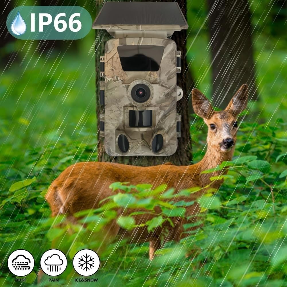 LMHOME PR903G camera with IP66 rating, showing it withstands dust, rain, ice, and snow, with a deer in a rainy forest