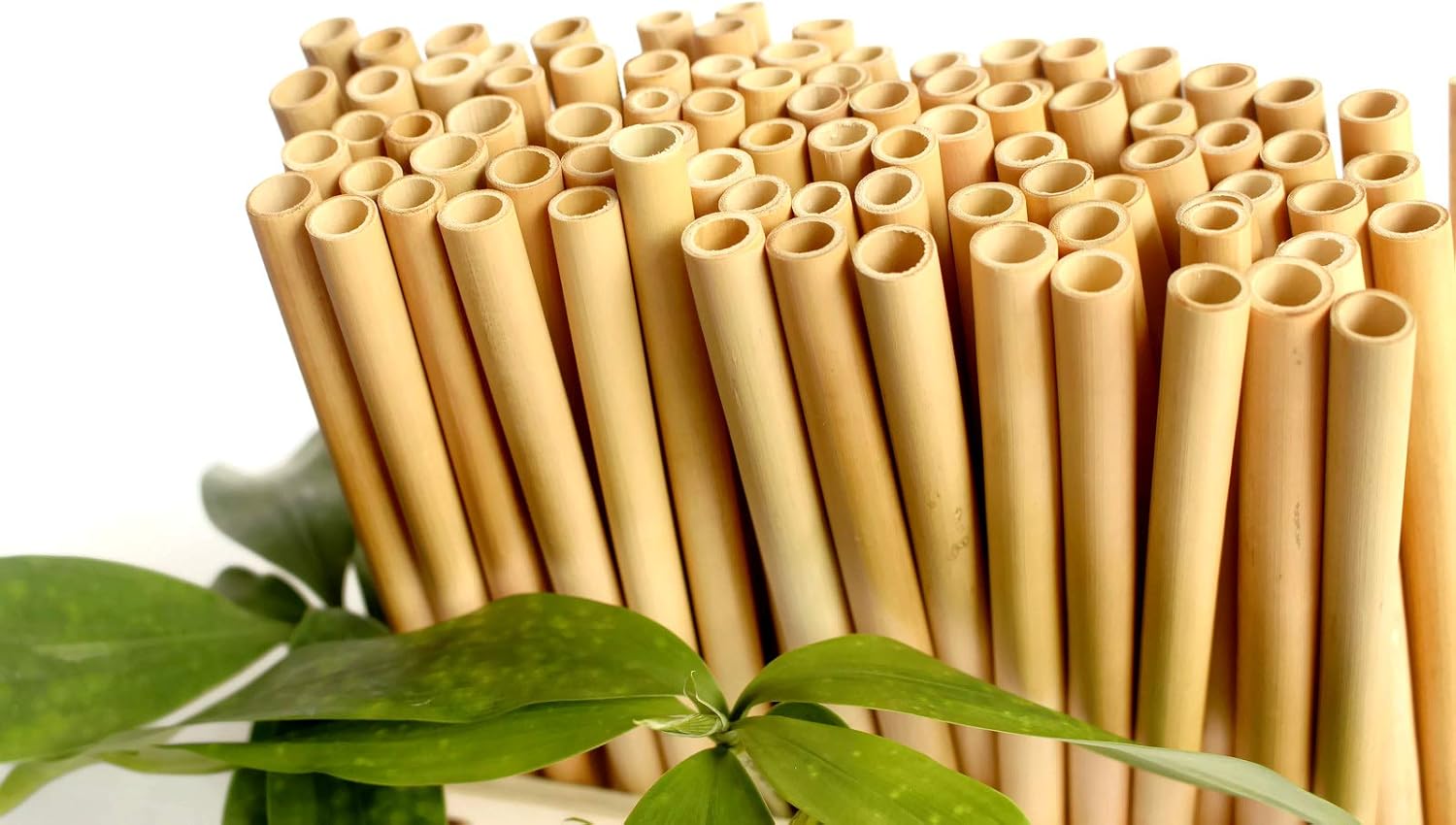 Bamboo Straws Bulk Reusable 8", Bamboo Drinking Straws, Personalized Bamboo Straws Favors for Guests by TrueSOURCE (190 Pieces, with Engraved Name/Text/Logo)
