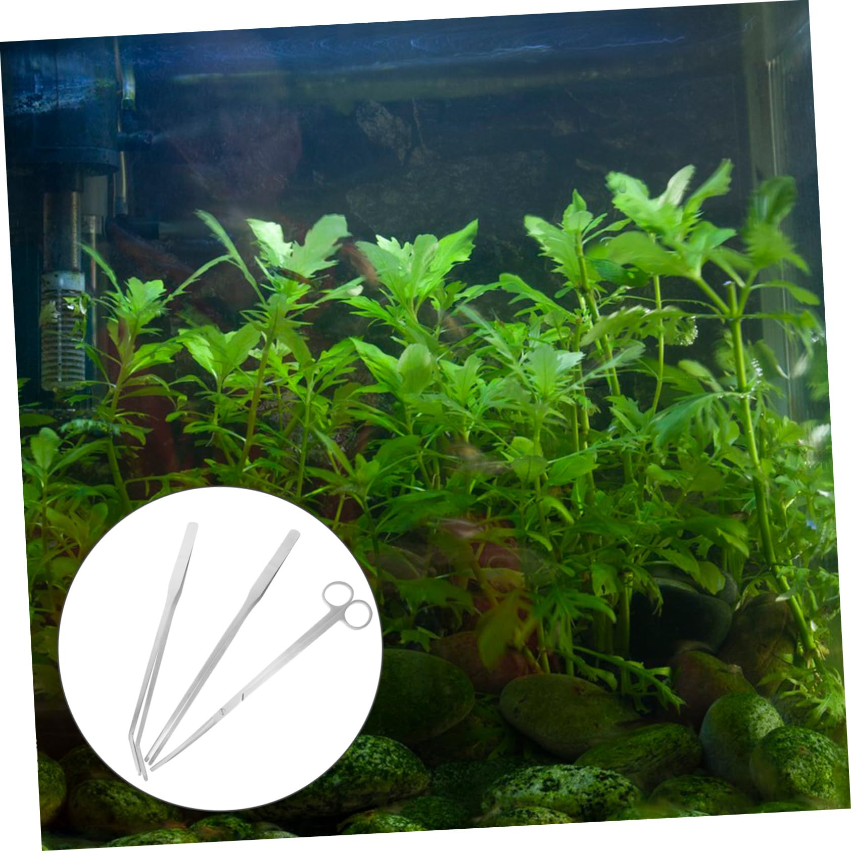 4 Ensembles Kit de Outils de Taillage pour Plantes de Outils Inoxydable pour Aquarium Pince à Épiler Ciseaux Spatule Accessoires pour Aquascaping Entretien de Réservoirs