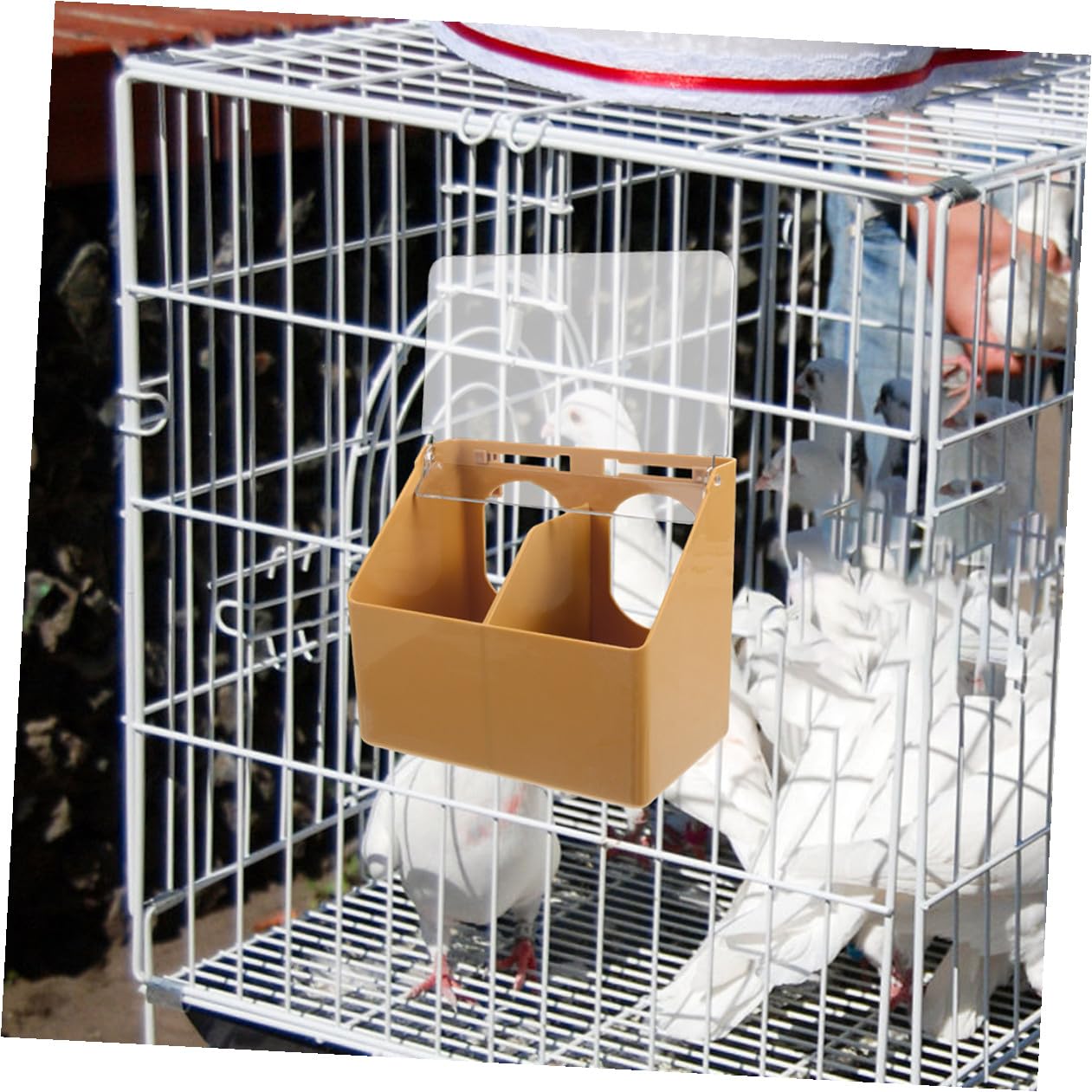 DECHOUS 3 pièces Mangeoire Oiseaux Suspendue avec Compartiments Doubles Distributeur Nourriture pour Perruches et Calopsittes Facile à Installer Cage Design Compartimenté Anti-conflit