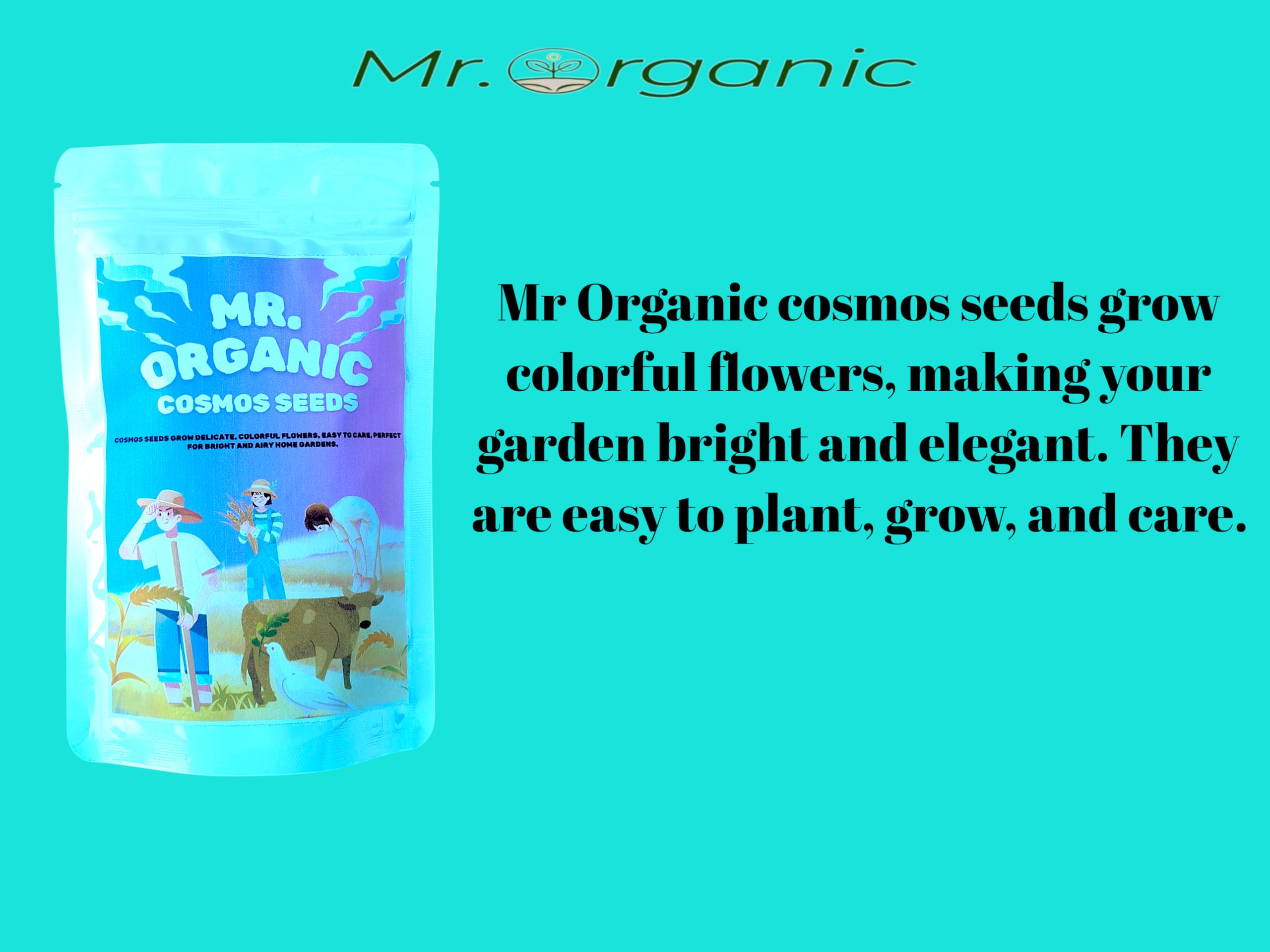 Mr.Organic Cosmos Flower Seeds - Vibrant Home Garden Mix -2 Mr.Organic Cosmos Flower Seeds - Vibrant Home Garden Mix -2