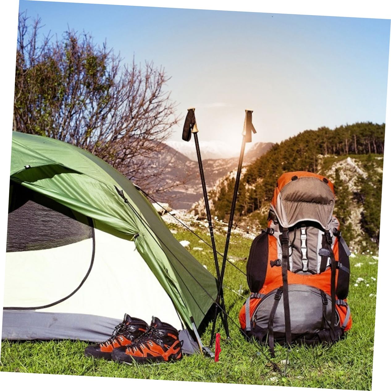 pièces piquets de tente en alliage d'aluminium poutre en Y dentelure saillante équipement de camping accessoires de camping clous piquets de tente piquets de sol de tente robustes voyage corde à ven