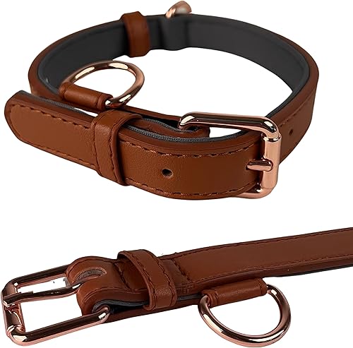 My Bestie - Collar para mascotas de cuero acolchado de oro rosa suave para perros duradero calidad elegante collar para perro XS S M L