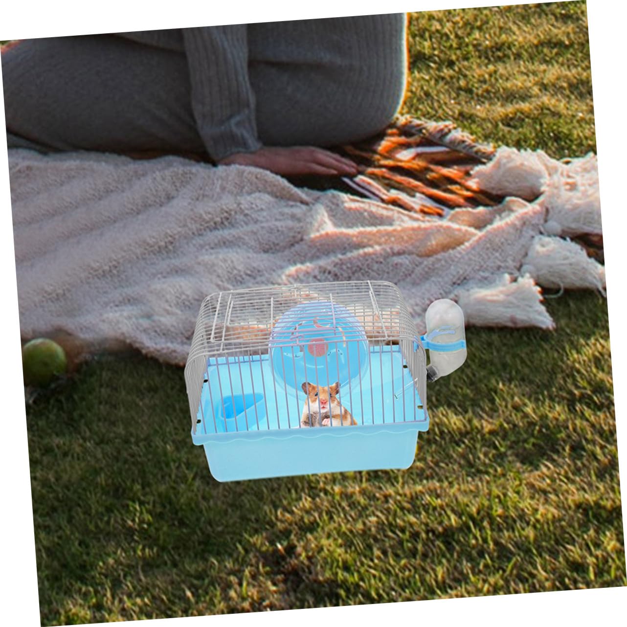Toddmomy Tragbare Hamster Transportbox für Hamster und Mäuse 2 Stück-Pack Leicht mit Trennbereichen für Aktivität Ruhe und Fütterung