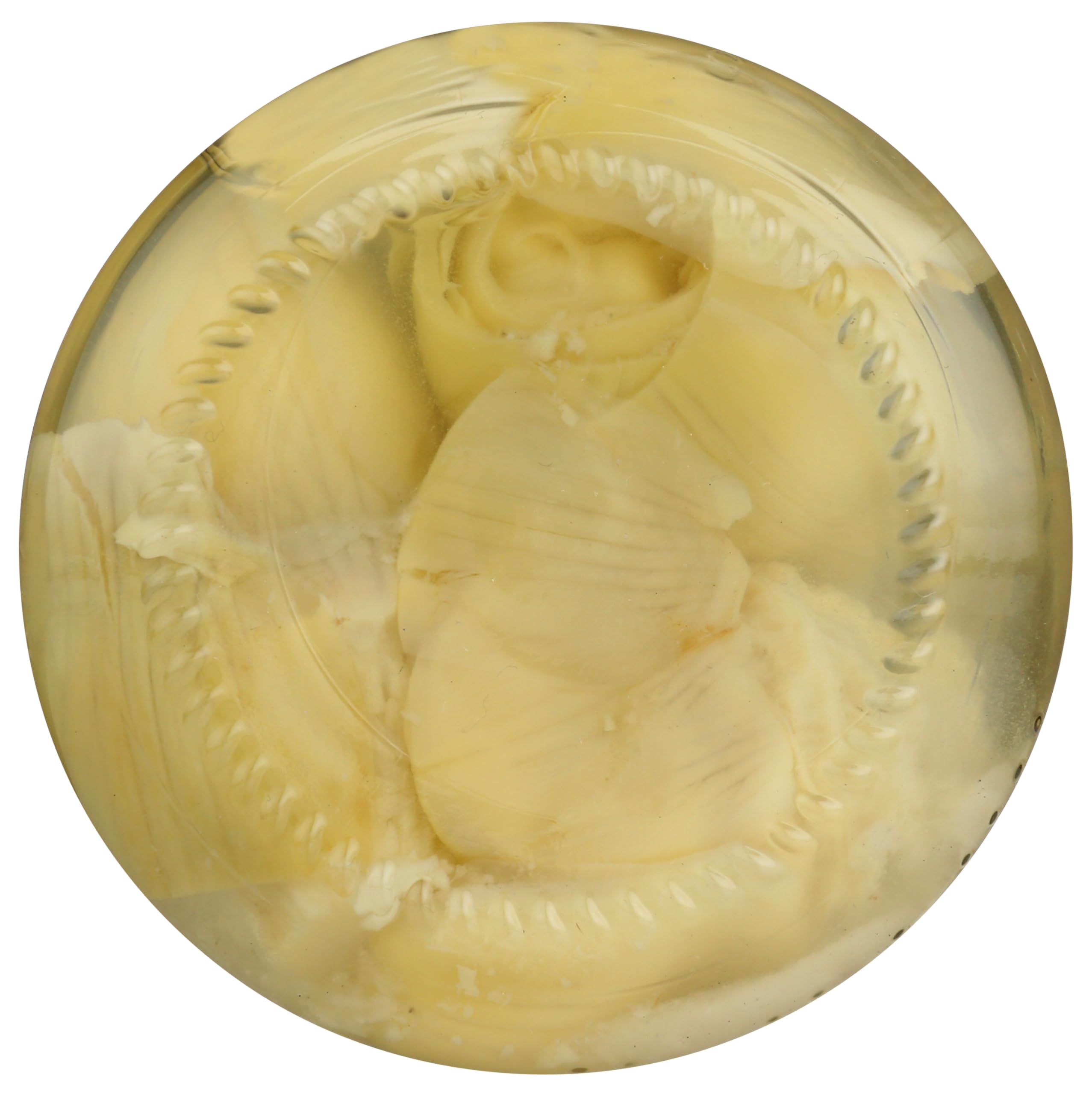 NATIVE FOREST Whole Artichoke Hearts, 9.9 OZ