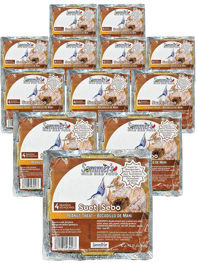 Peanut Wild Bird Suet Cakes 12 Pack 12.15 oz Each Woodpecker Favorite No-Melt Formula High Protein & High Fat Suet for Suet Feeders Tastes Like Peanut Butter