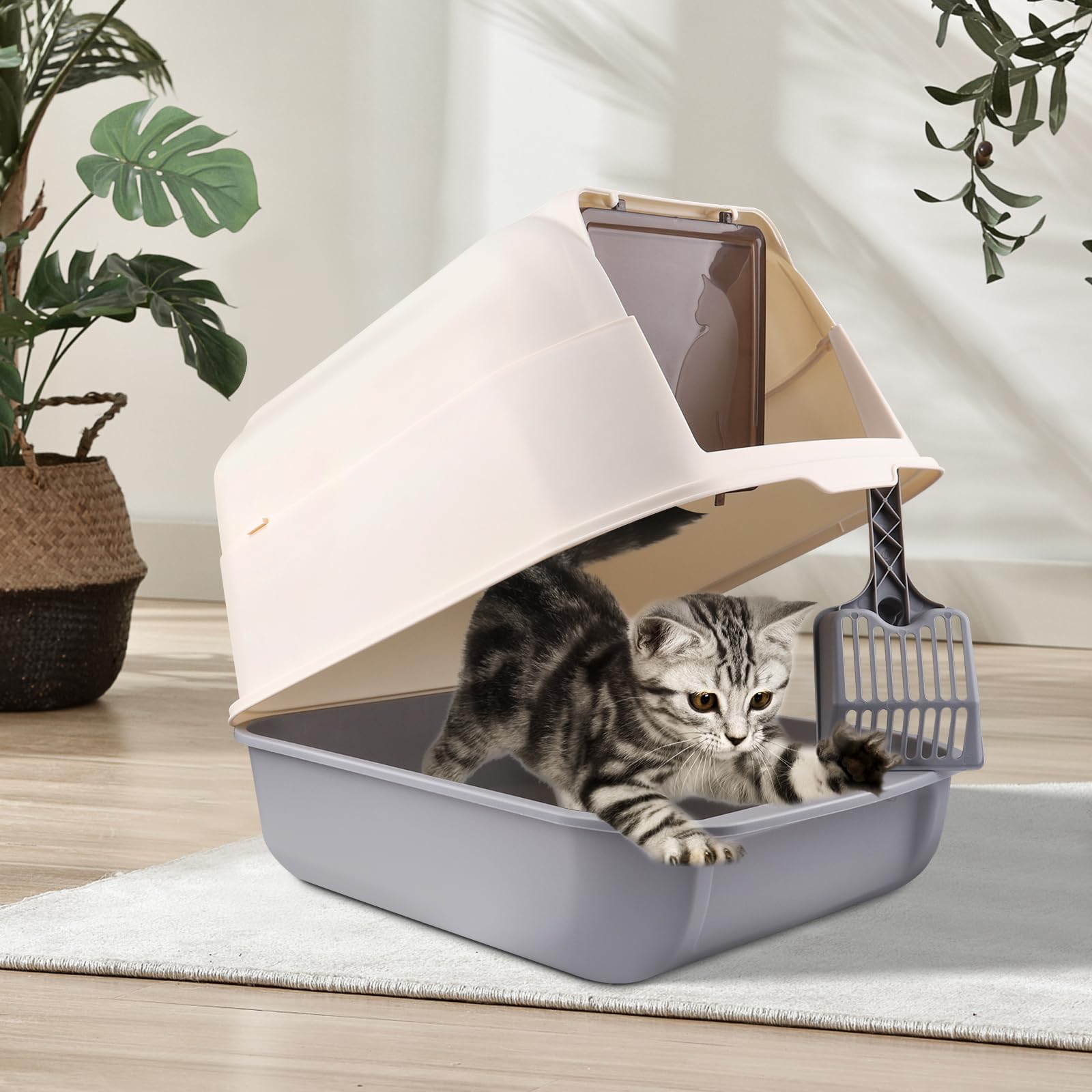 OHMG Lettiera per gatti con coperchio + accessori inclusi pala e tappetino, lettiera chiusa per gatti, grande, Lettiera XXL per Gatti, vassoio estraibile (cenere, 36 x 51 x 34 cm)
