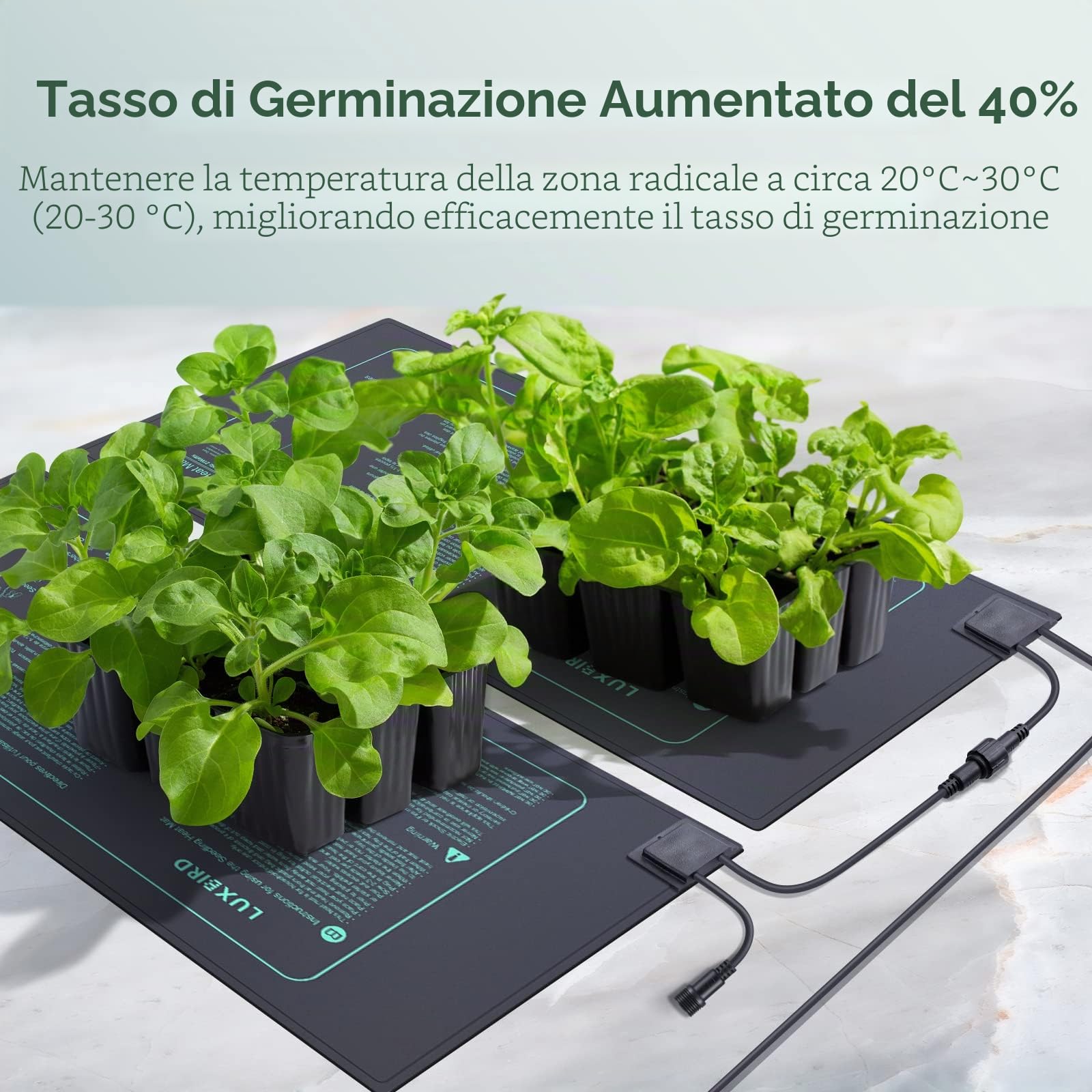 Luxbird Tappetino Riscaldante per Piante con termostato, 2 tappetini riscaldanti con 1 Controller, 30W, Controllo Uno a Molti, Impermeabile IP67, 52x25cm, per Serra, germinazione, Terrario