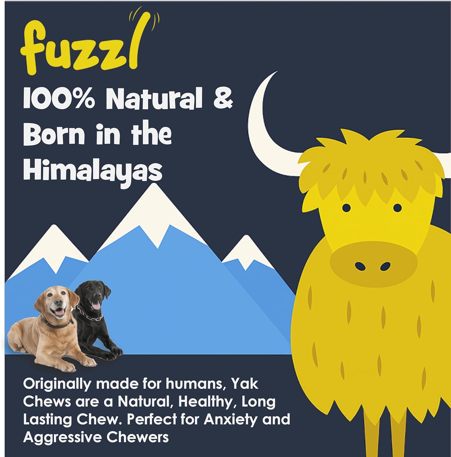 Bundle – Multi-Flavour Yak Cheese Chews (Blueberry Strawberry BlackBerry Mint, Medium 4-Pack) + Tough Nylon Chew Toys (Wishbone & Bone)